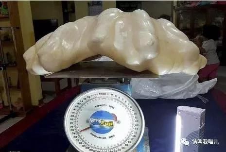 世界上最大的珍珠 世界上最可怕的珍珠