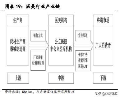 医疗美容材料专题报告：HA填充剂搭上美丽快车