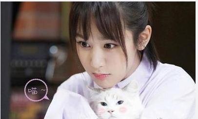 杨紫演过的电视剧 杨紫最火的电视剧