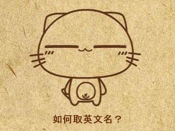iris什么意思 iris女生英文名么意思