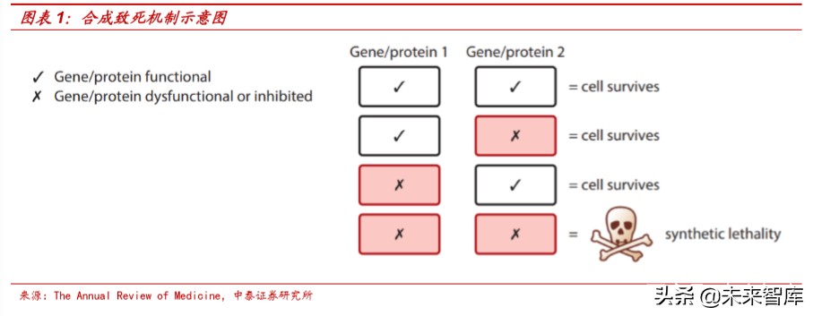 医药行业深度报告：适应症横跨多个癌种，PARP抑制剂前景广阔