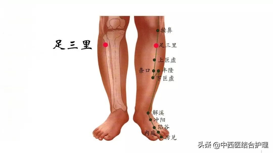 足三里的准确位置图片 手三里穴位