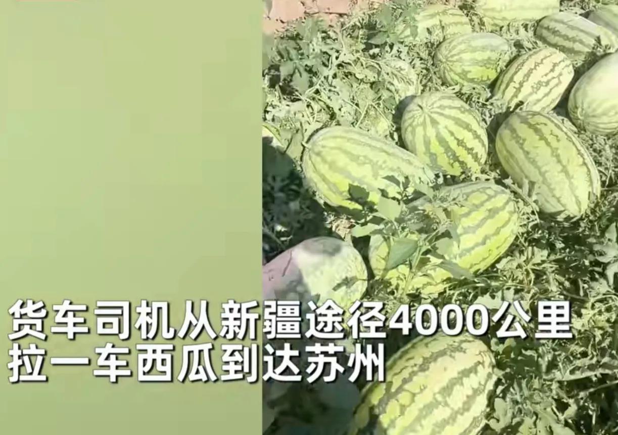江苏货车司机拉一车西瓜4千公里下高速,因超重不免费无奈扔50个