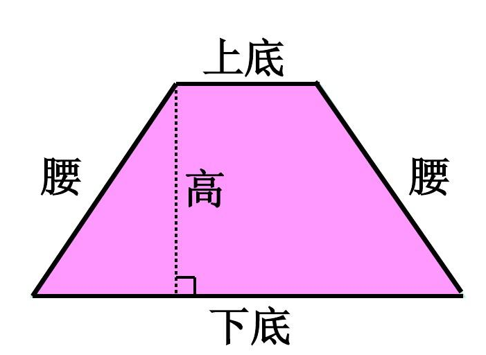 梯形的面积公式 三角形的面积怎么求