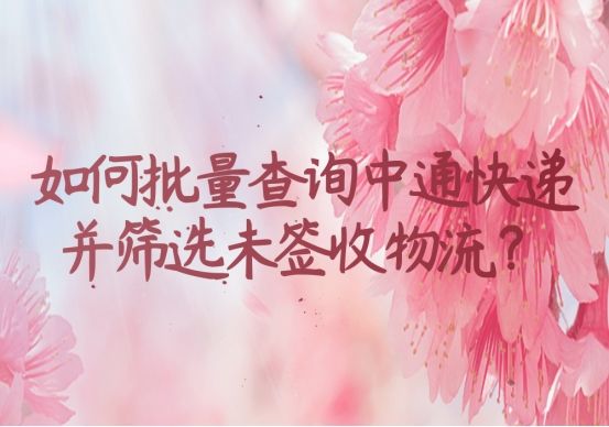 中通快递官网查询 中通快递官网单号查询