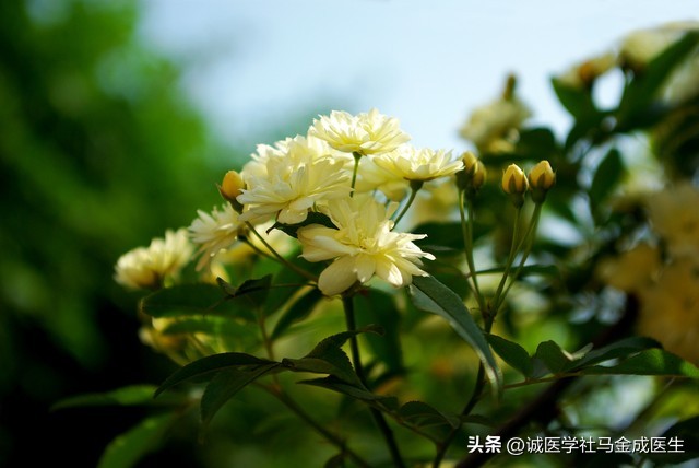 阴囊潮湿吃什么药 鞘膜积液千万不要手术