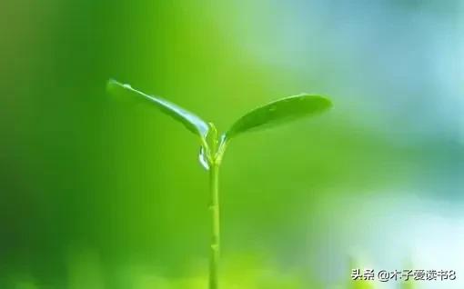 仿佛的近义词 仿佛的近义词 二年级