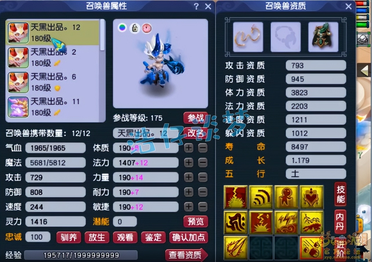 梦幻西游：175级群雄全服第六女儿村，“龟速守尸谛听”见过吗？