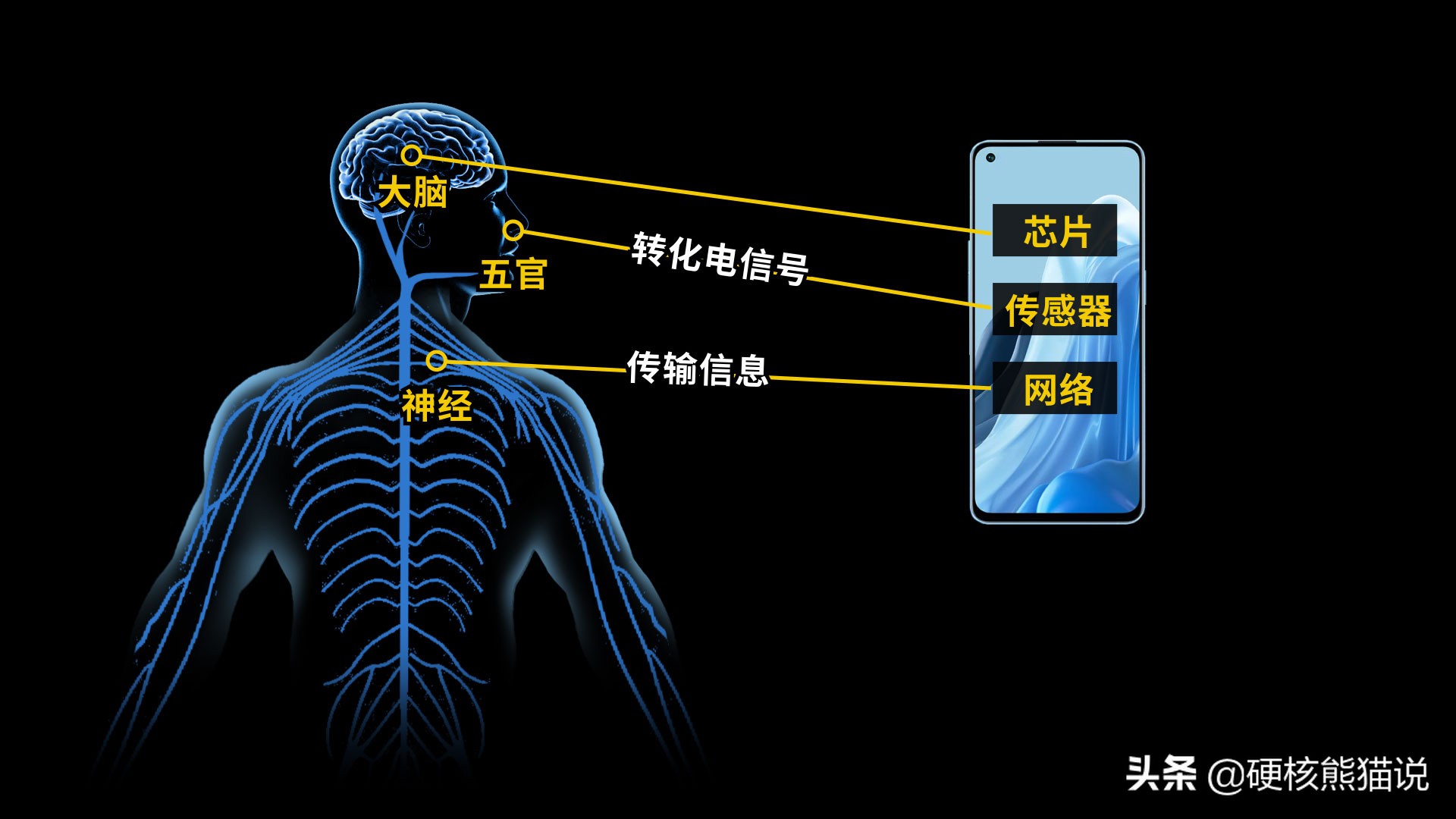 传感器技术大爆发：被列为十大科技之首，重要性堪比芯片