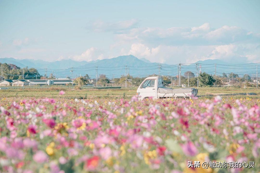 个性签名女生简单气质 一眼就吸引人的签名
