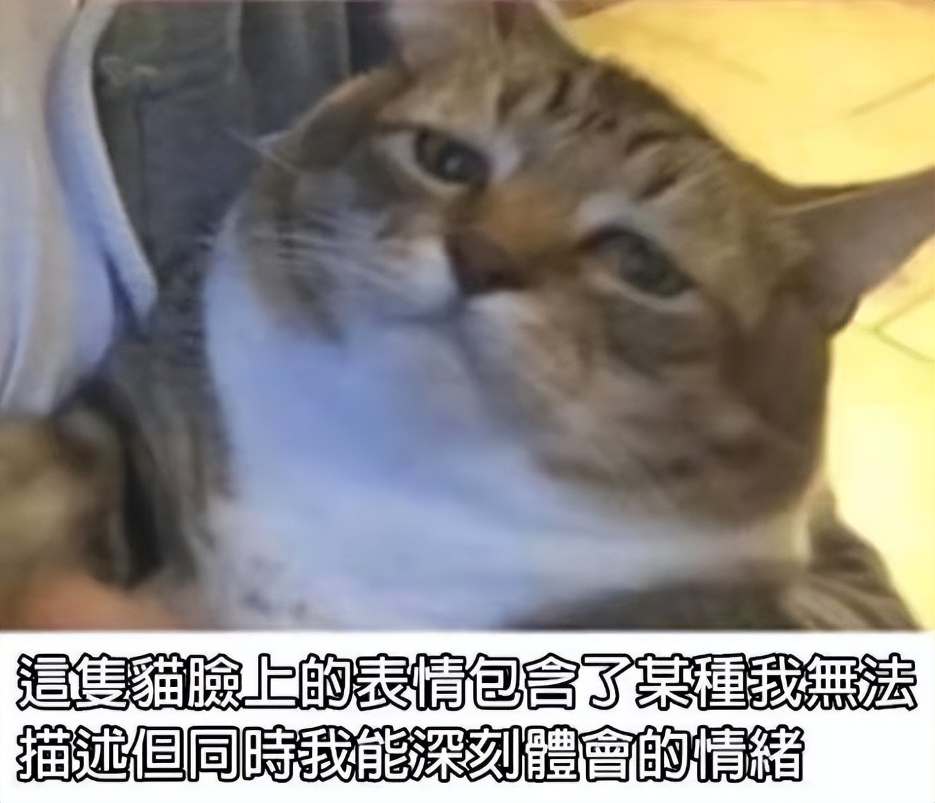 磁力搜索引擎 最全资源搜索引擎