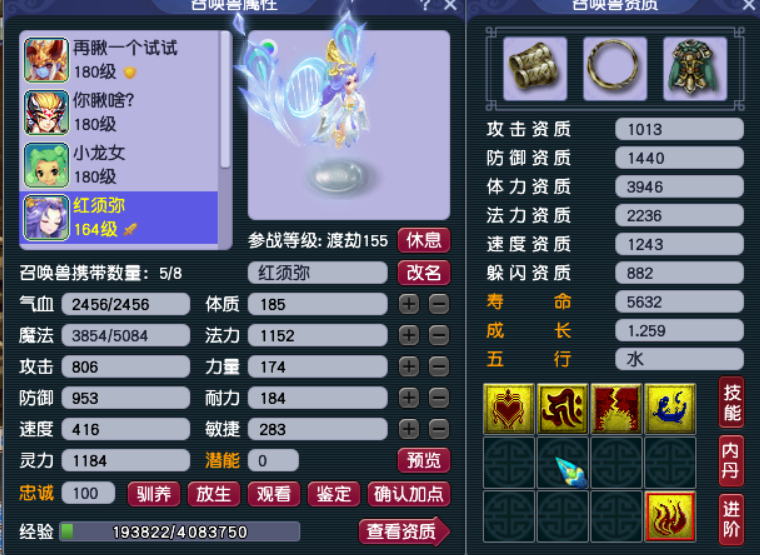 梦幻西游：五开配号这种事还有什么不会的？