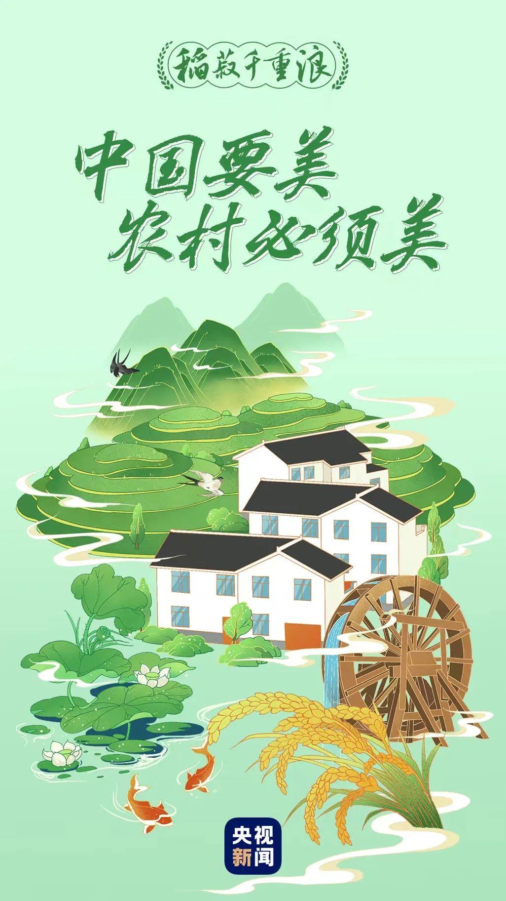 喜看稻菽千重浪 喜看稻菽千重浪感想