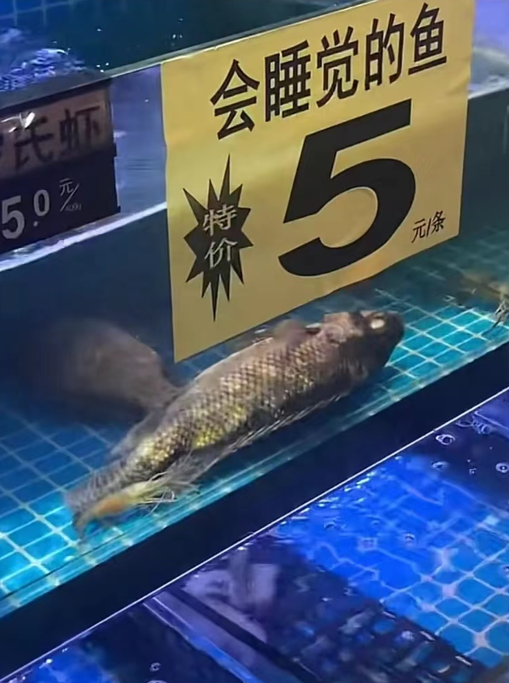 芒果不能和什么一起吃 吃芒果的7大禁忌