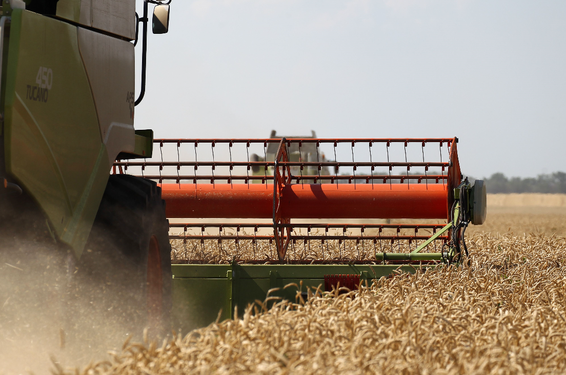 很关键！中俄签订一份大协议：允许俄罗斯全境小麦出口中国