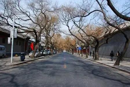 琉璃瓦(明清两朝是西苑西墙,灵境胡同东口以北的围墙是民国以后重修的