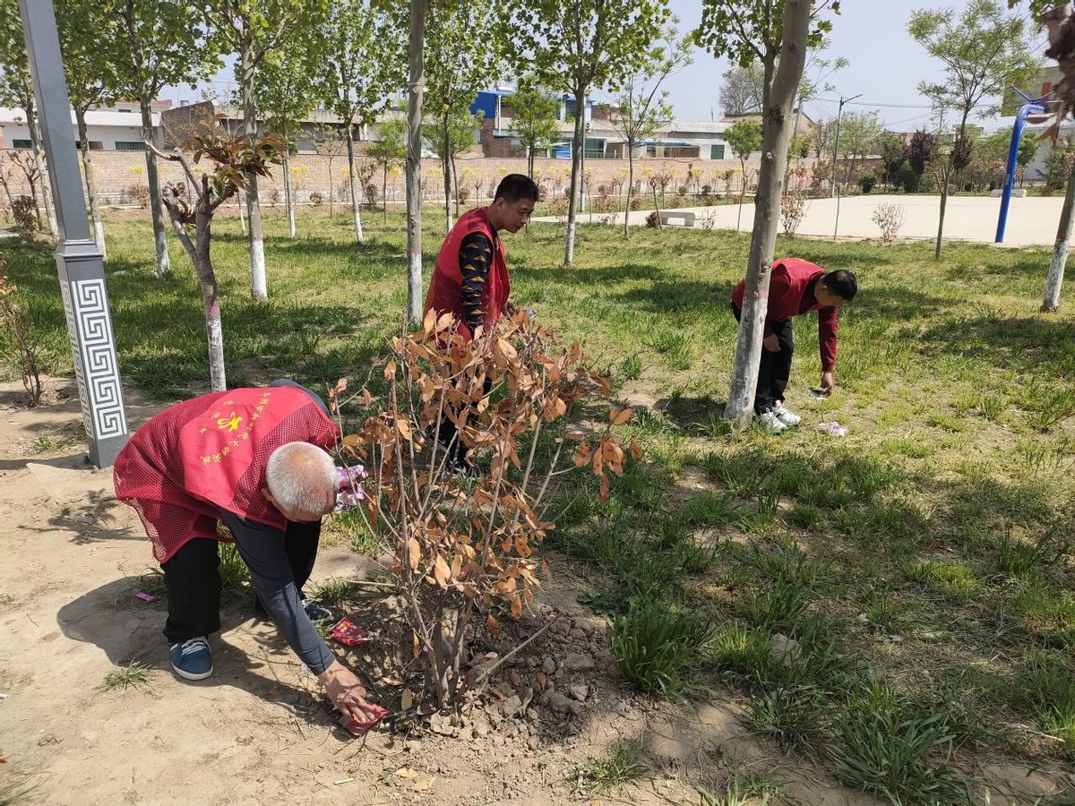 华阴市罗敷镇:农村人居环境整治中的那"一抹红"