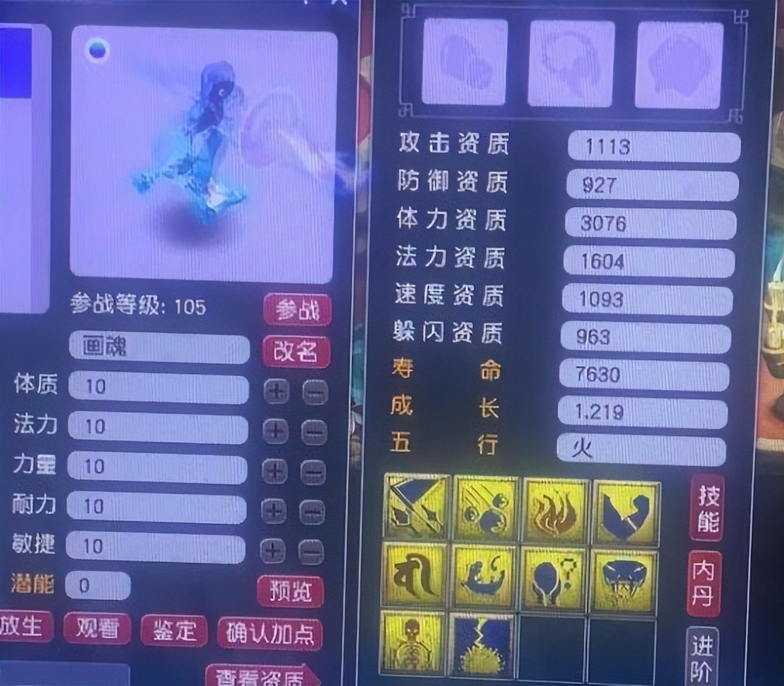 梦幻西游：梦幻玩家的专属浪漫，用野生宠给召唤兽换了个净台妙谛