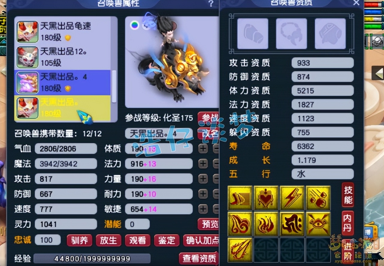 梦幻西游：175级群雄全服第六女儿村，“龟速守尸谛听”见过吗？