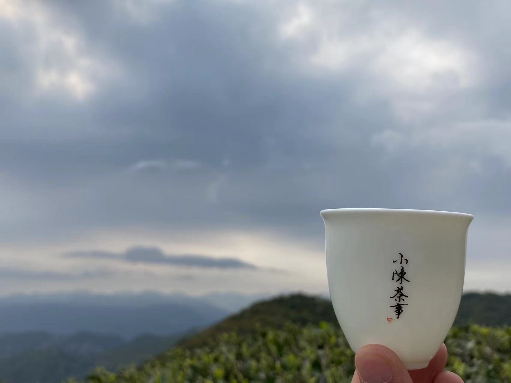 白茶属于什么茶 白茶属于什么茶红茶还是绿茶