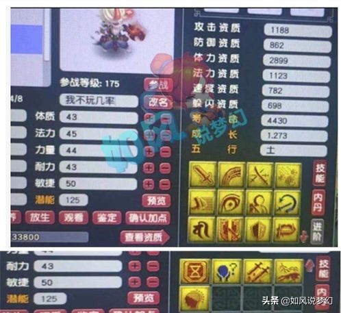 梦幻西游：浩文垄断了区内的“比武状元”，17技净台魔童打到14红