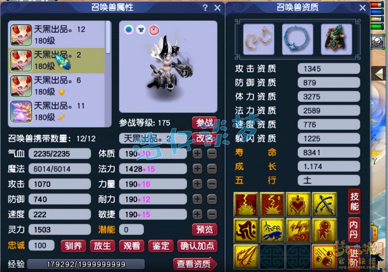 梦幻西游：175级群雄全服第六女儿村，“龟速守尸谛听”见过吗？