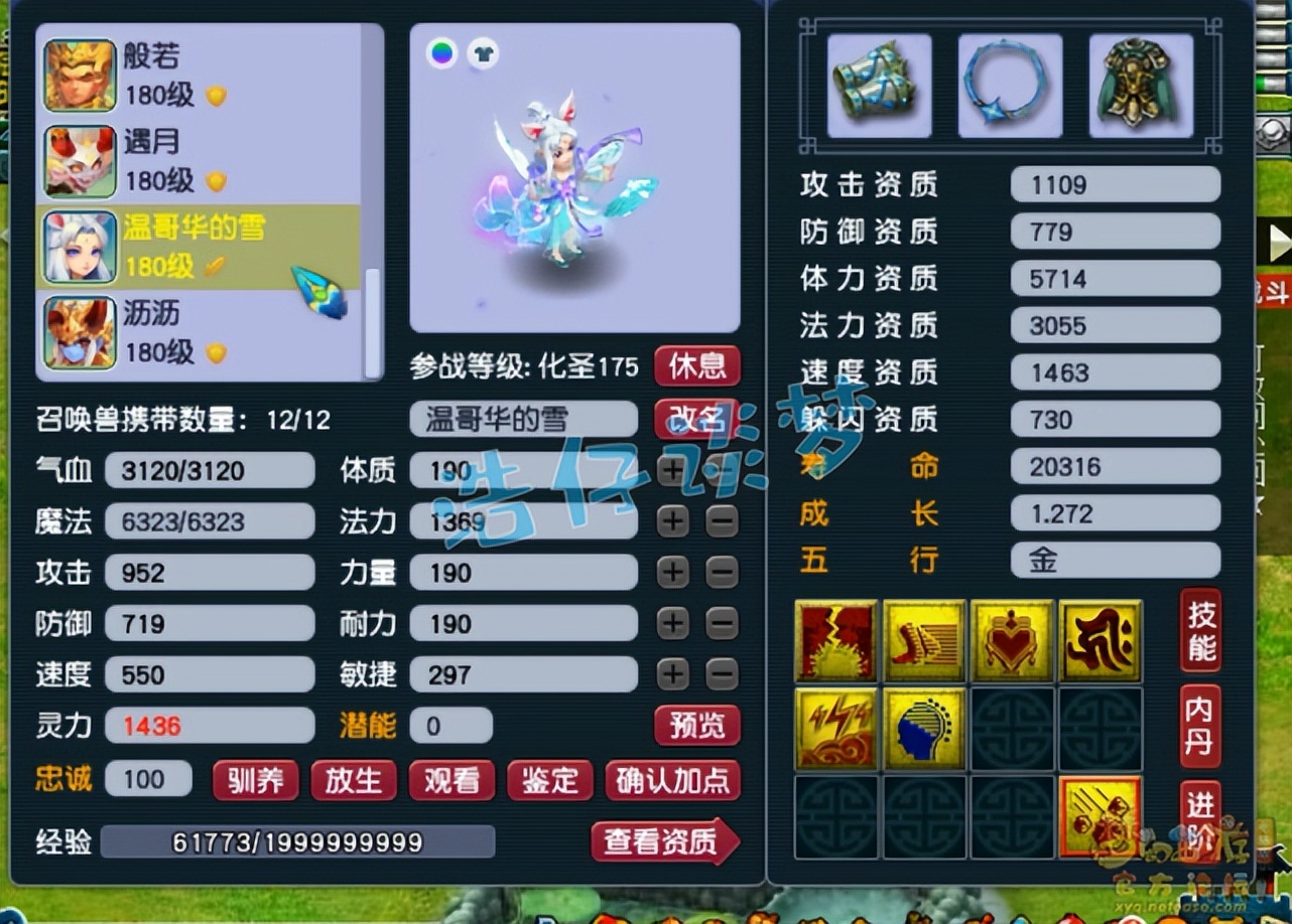 梦幻西游：175群雄32强咒师普陀，愤怒5特技加身，堪称全能门派