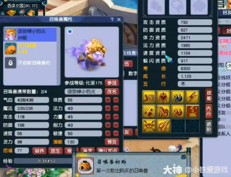 梦幻西游：39玩家喜提天猴组神宠，区内最完美的永动机，爱不释手