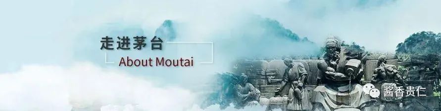 茅台王子酒53度多少钱一瓶(茅台王子价格表)