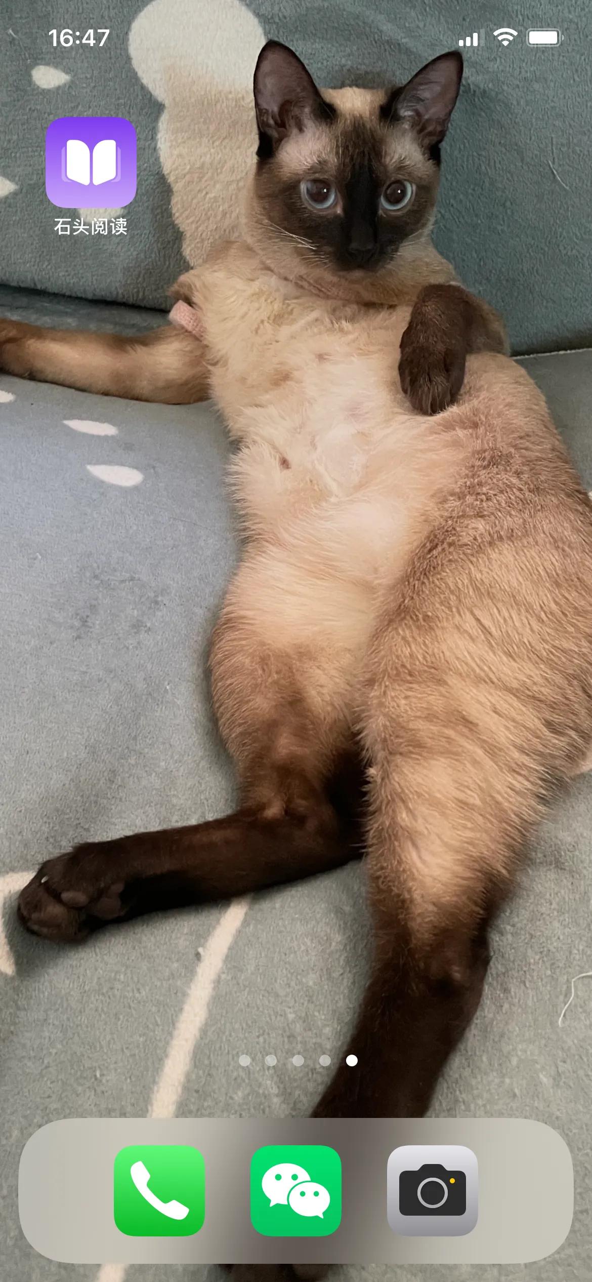 免费小说阅读器 全免小说免费阅读app