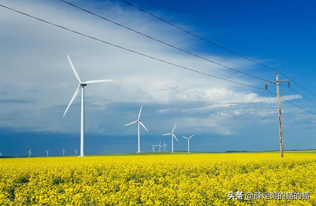 机械能守恒的条件 机械能守恒的条件大学