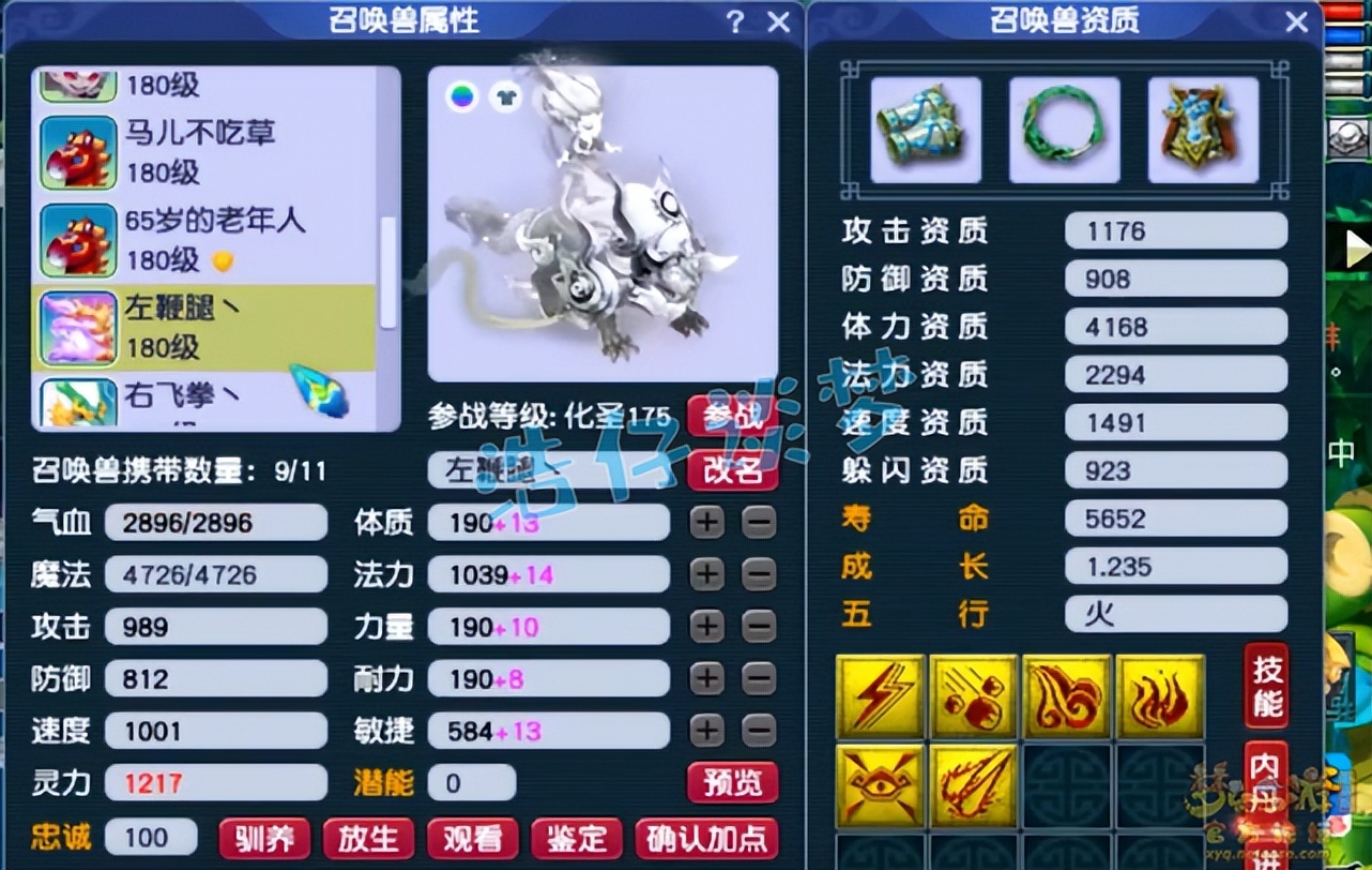 梦幻西游：175一线帮战狮驼，14+9超强硬件，各种高端PK都能打