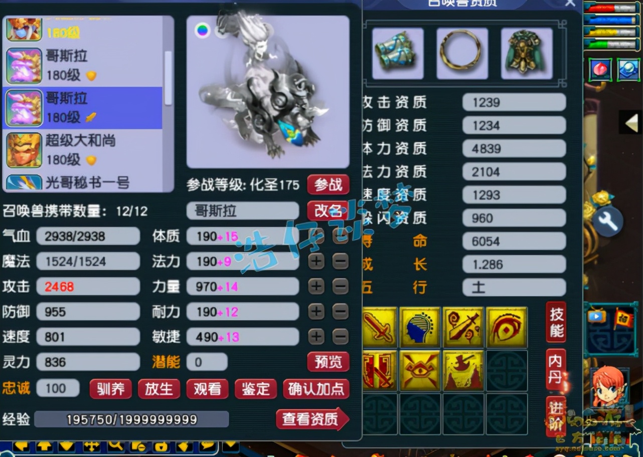梦幻西游：175顶级狮驼岭，4件穿刺装备加身，罕见铠甲竟单加61力