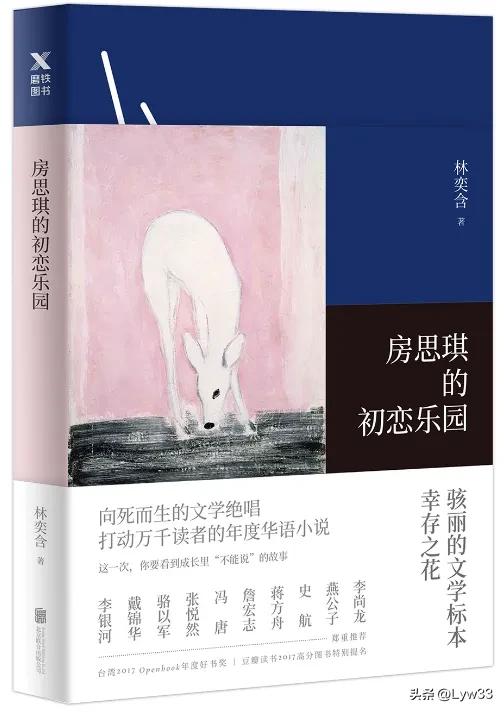 房思琪的初恋乐园 房思琪适合多少岁的人看
