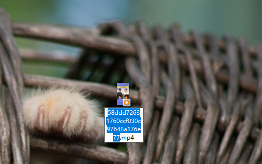 腾讯视频下载 腾讯视频