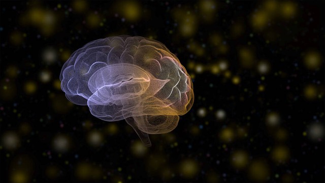 人体内脏结构图 左侧肋骨下面隐隐作痛