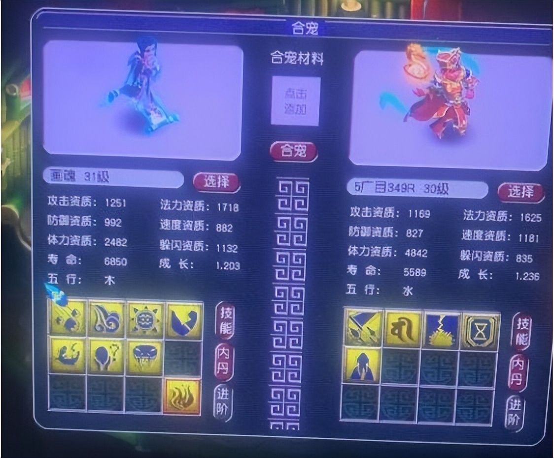 梦幻西游：梦幻玩家的专属浪漫，用野生宠给召唤兽换了个净台妙谛