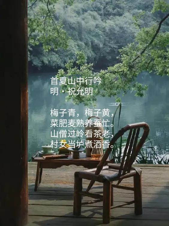 梅子黄时日日晴 绝句两个黄鹂鸣翠柳