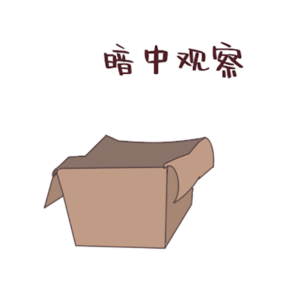 深圳限行时间 深圳交管24小时免费咨询