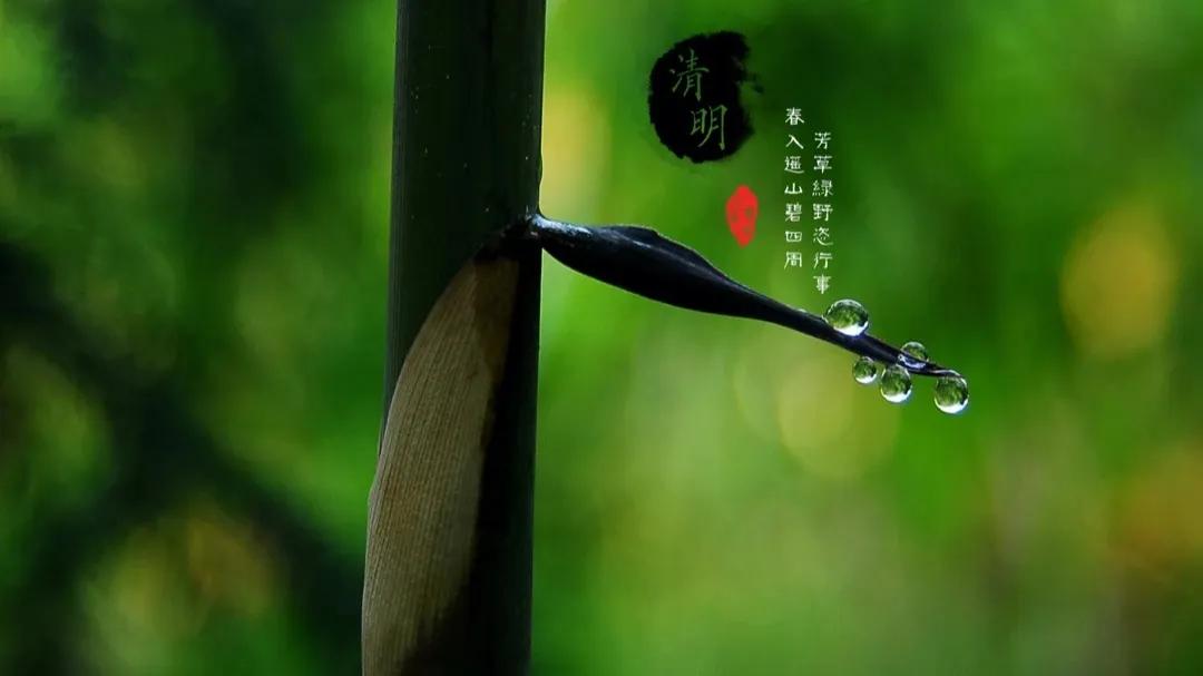 清明节的意义 清明节唯美短句