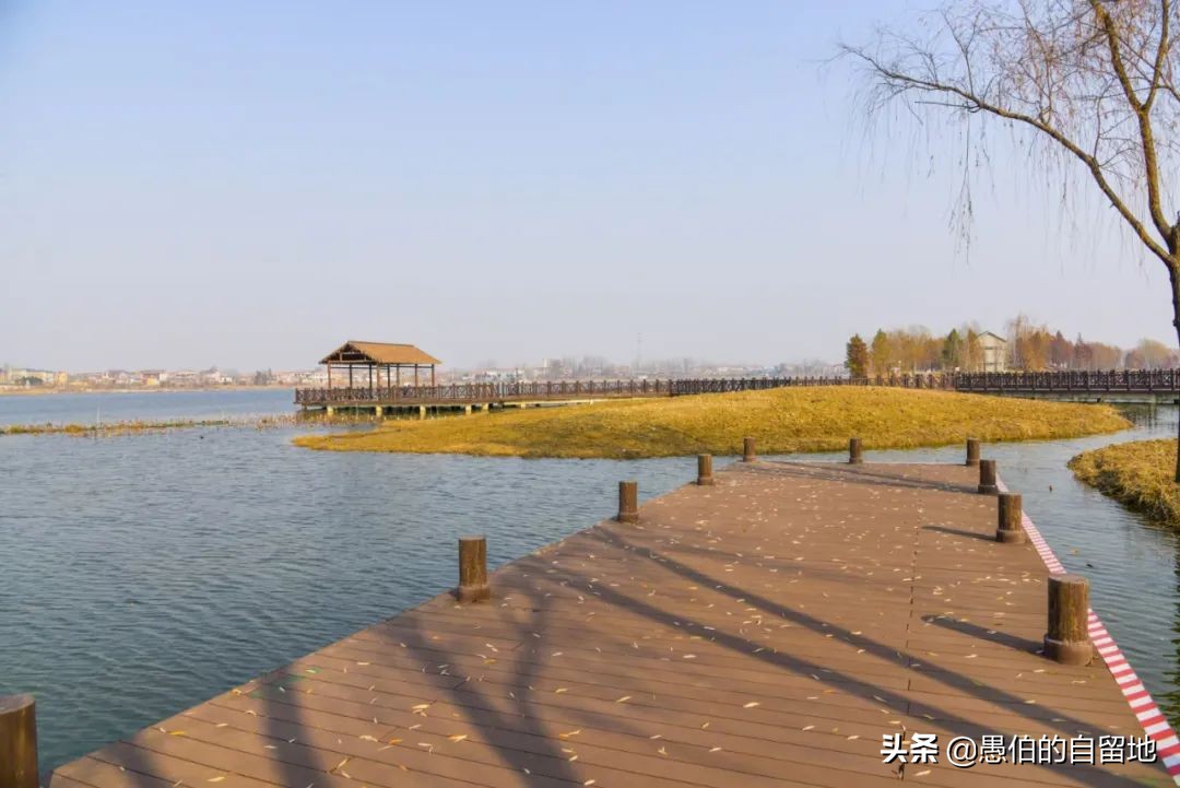 丰县人必读的一篇文章:"二坝湿地"风光撷影系列