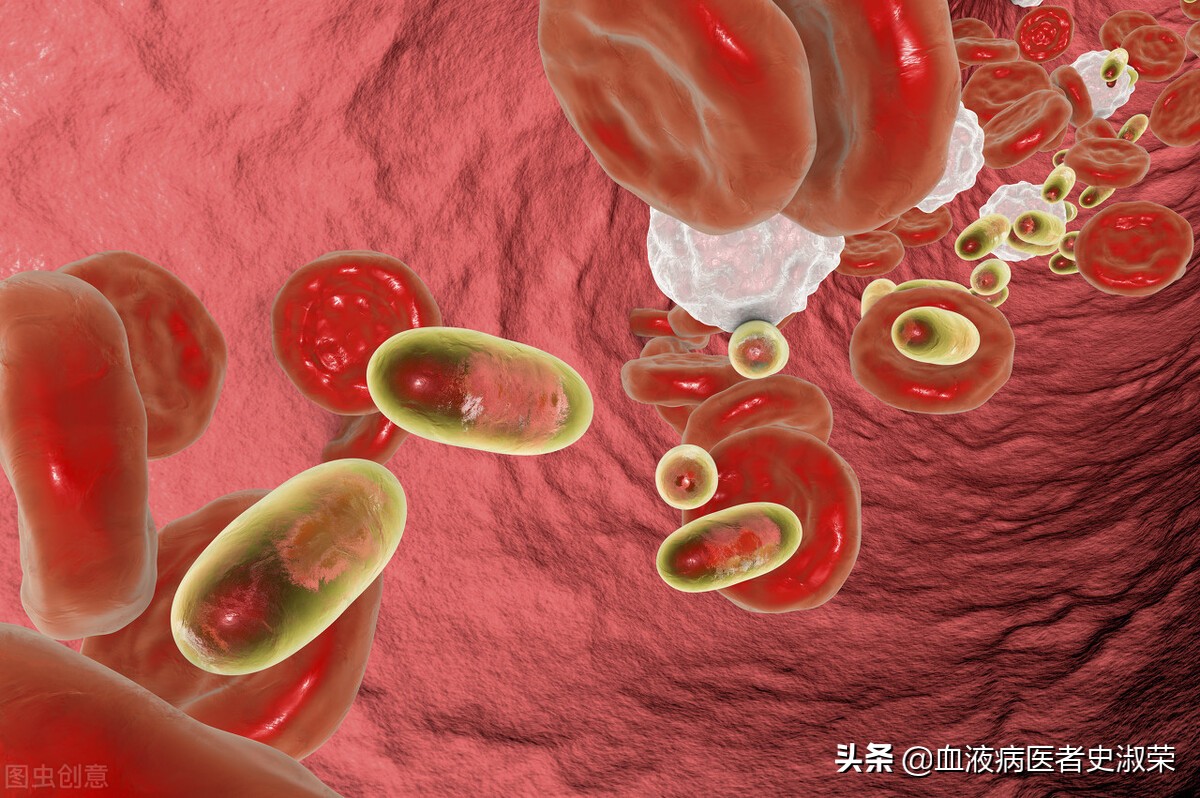 红细胞计数偏高 红细胞计数5.94偏高