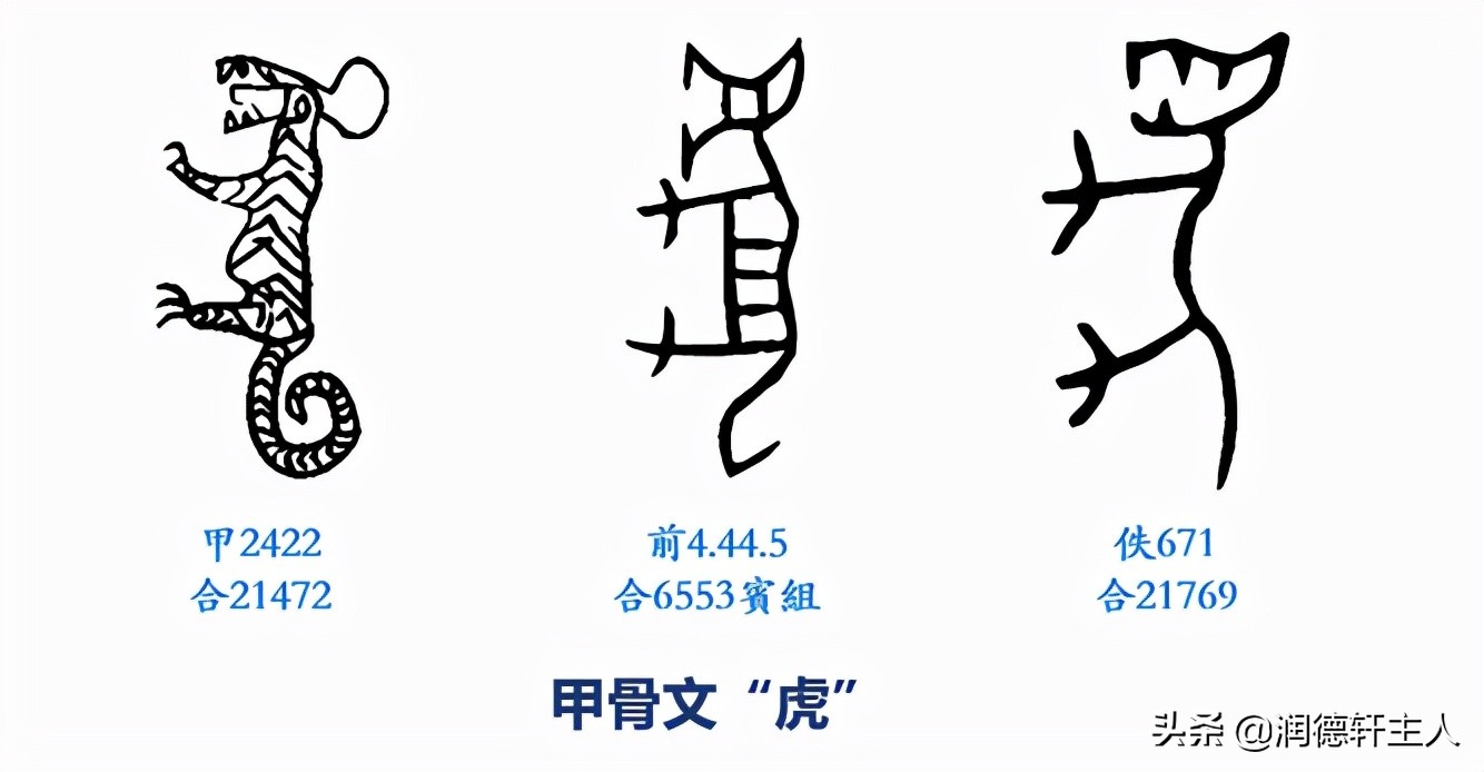虎的繁体字怎么写的越原始
