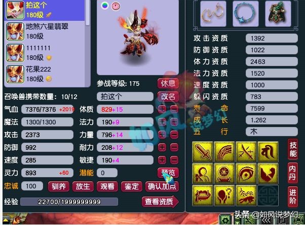 梦幻西游：二狗新团队老板已经满员，新紫禁城服战队剑会首秀