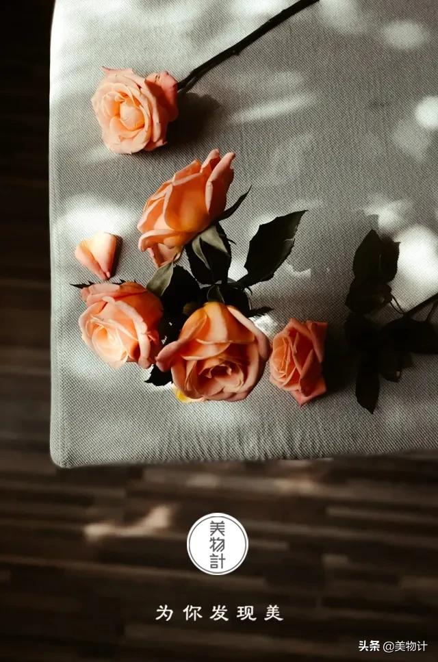 最近很火的歌曲