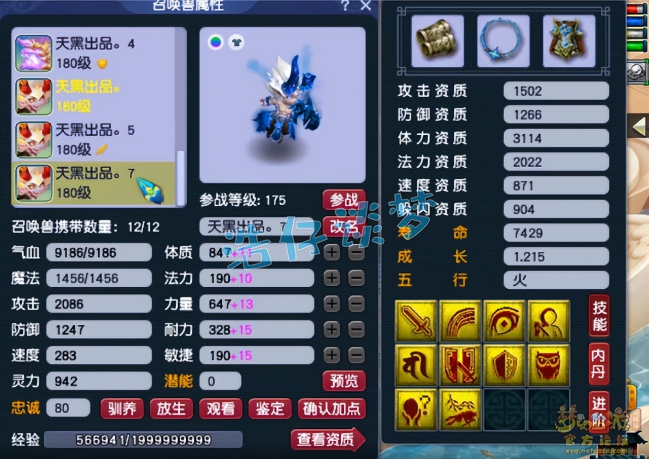 梦幻西游：175级群雄全服第六女儿村，“龟速守尸谛听”见过吗？