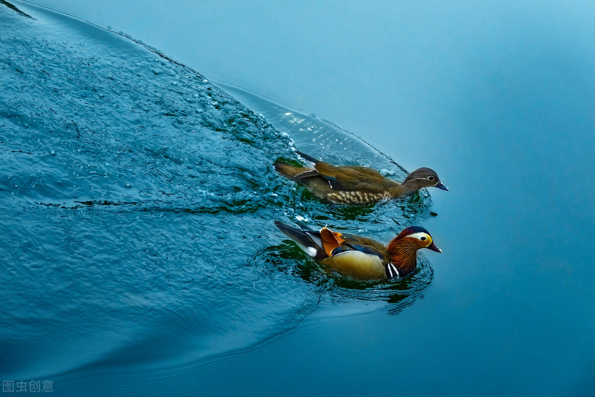 自相矛盾的道理 自相矛盾的道理是什么