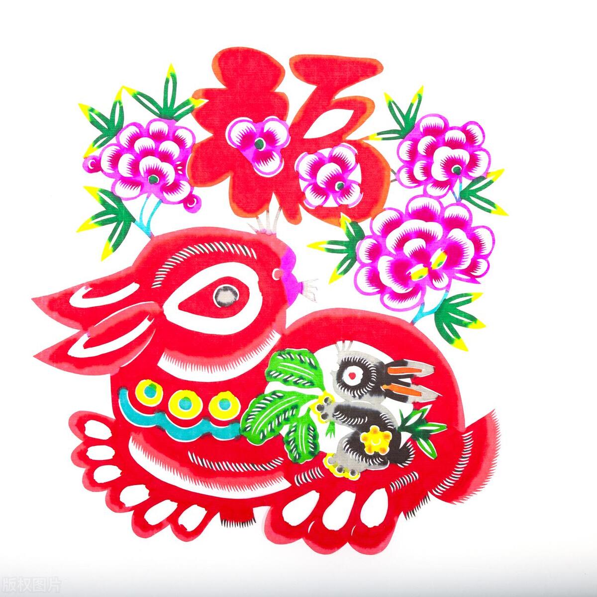 属兔的今年多大 属兔人最旺的年龄