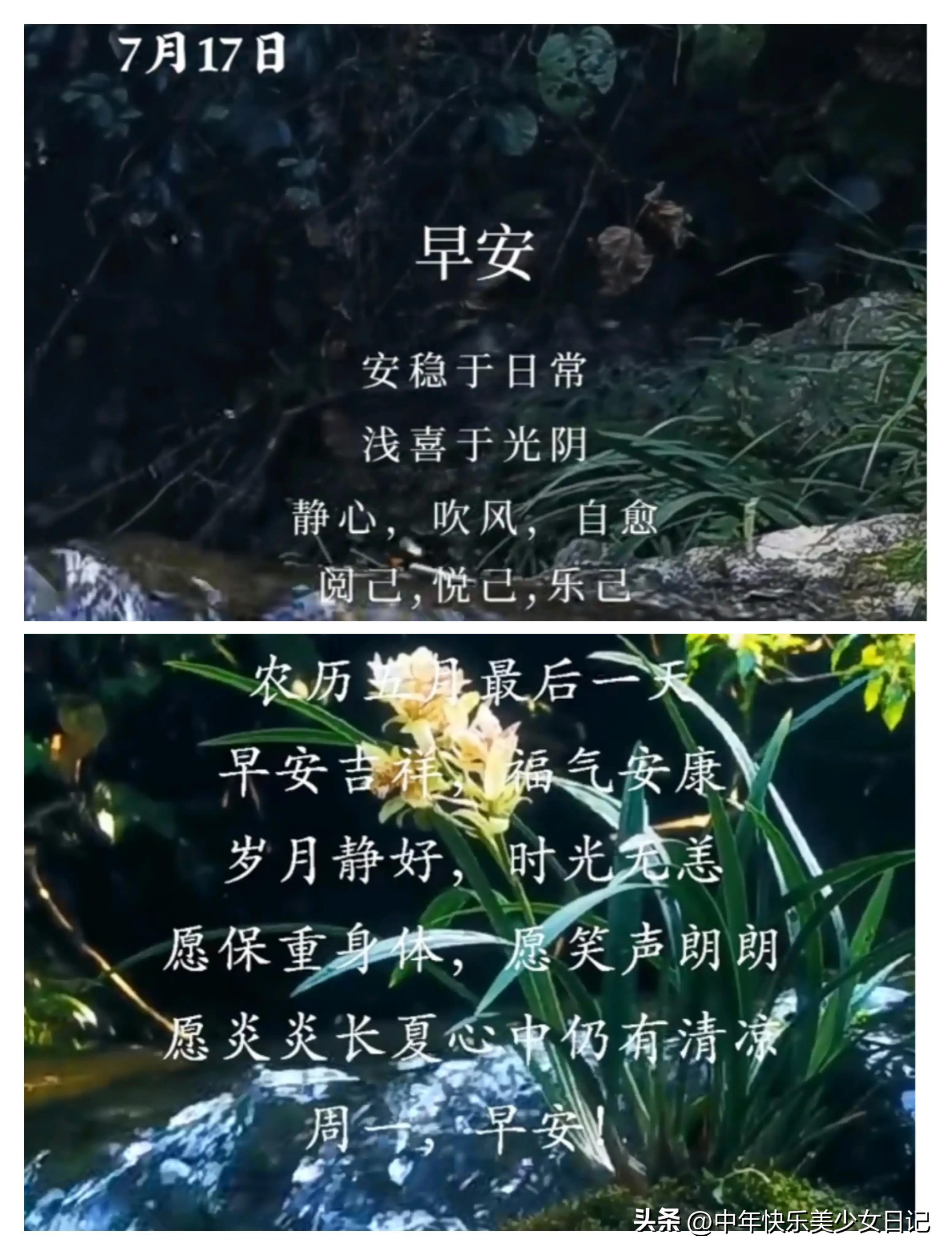 原来你也在这里 原来你还在这里免费观看
