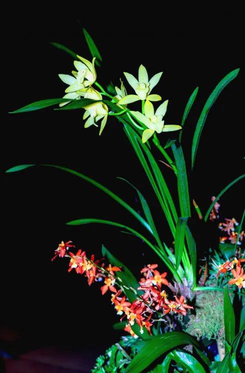 城府深是什么意思(城府深的男人追女人的套路)